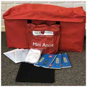 Mini-Anne plus, 10-pack