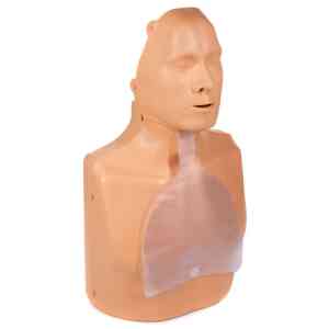 Lungor till Practi-Man, 5-pack